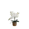 Orchid Arrangement In Gold Decorative Pot-Kirkland's Home Store