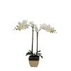 Orchid Arrangement In Gold Pot-Kirkland's Home Discount