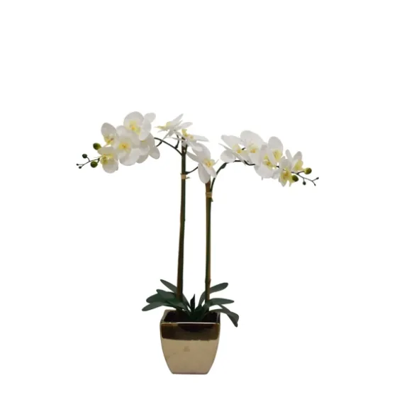 Orchid Arrangement In Gold Pot-Kirkland's Home Discount