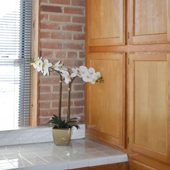 Orchid Arrangement In Gold Pot-Kirkland's Home Discount
