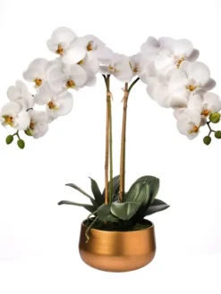 Orchid Arrangement In Gold Pot, 22 In.-Kirkland's Home Store