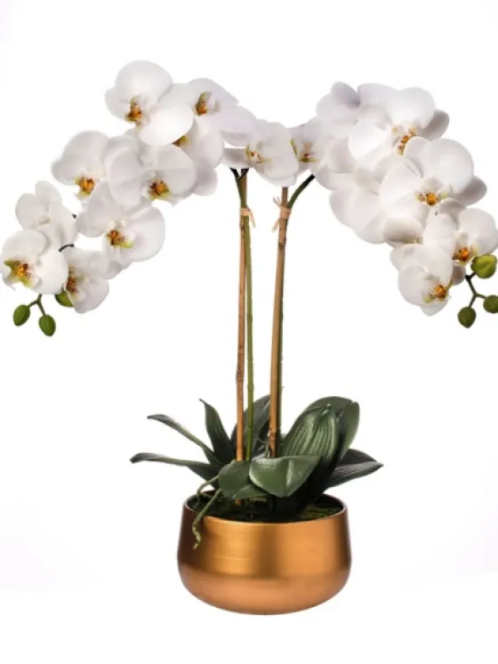 Orchid Arrangement In Gold Pot, 22 In.-Kirkland's Home Store