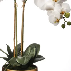 Orchid Arrangement In Gold Pot, 22 In.-Kirkland's Home Store