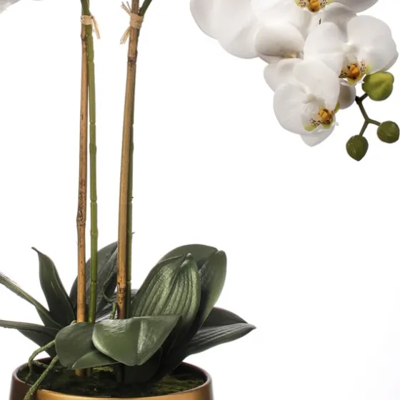 Orchid Arrangement In Gold Pot, 22 In.-Kirkland's Home Store