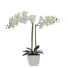 Orchid Arrangement In Pot-Kirkland's Home Online