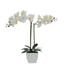 Orchid Arrangement In Pot-Kirkland's Home Online