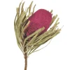 Orchid Dried Jumbo Banksia Stems, Set Of 3-Kirkland's Home Store