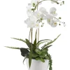 Orchids In Ceramic Bowl-Kirkland's Home Hot