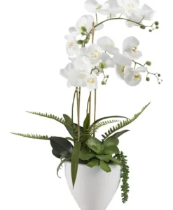 Orchids In Ceramic Bowl-Kirkland's Home Hot