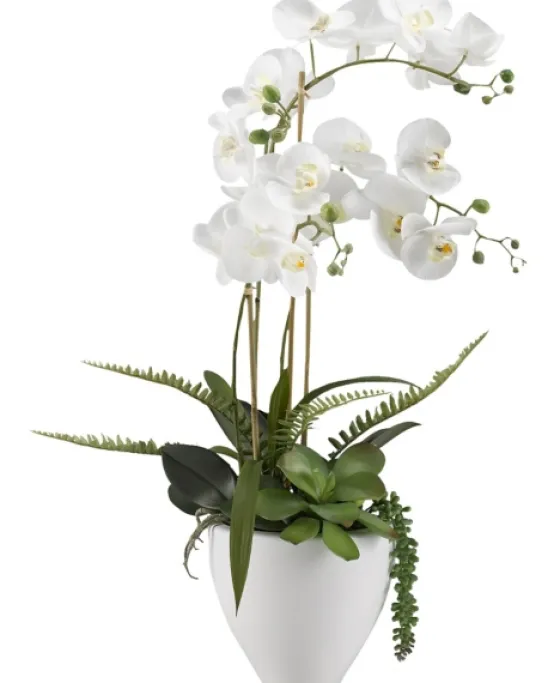 Orchids In Ceramic Bowl-Kirkland's Home Hot