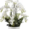 Orchids In Round Ceramic Dish-Kirkland's Home Best
