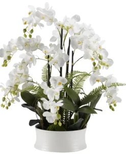Orchids In Round Ceramic Dish-Kirkland's Home Best