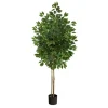 Outdoor Bright Green Ficus Tree, 64 In.-Kirkland's Home Discount