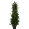Outdoor Cypress Tree In Black Nursery Planter-Kirkland's Home New