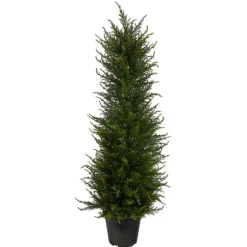 Outdoor Cypress Tree In Black Nursery Planter-Kirkland's Home New
