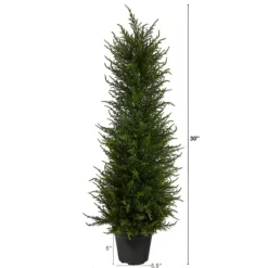Outdoor Cypress Tree In Black Nursery Planter-Kirkland's Home New