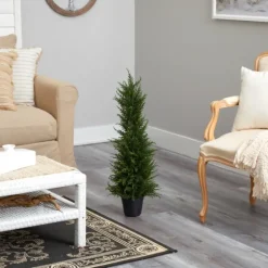 Outdoor Cypress Tree In Black Nursery Planter-Kirkland's Home New