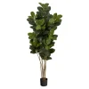 Outdoor Oak Tree In Black Nursery Planter-Kirkland's Home Flash Sale