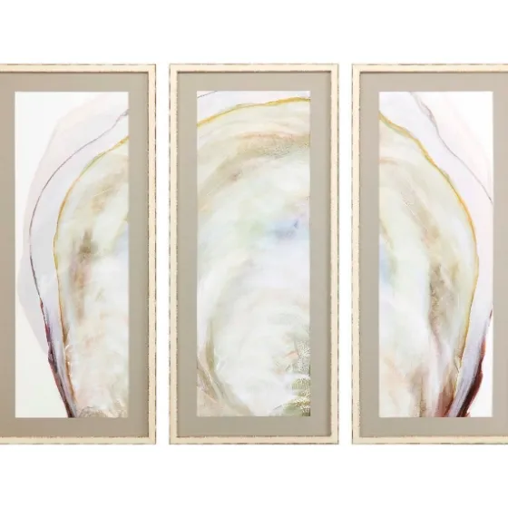 Oyster Shell 3-Pc. Framed Wall Art Set-Kirkland's Home Online