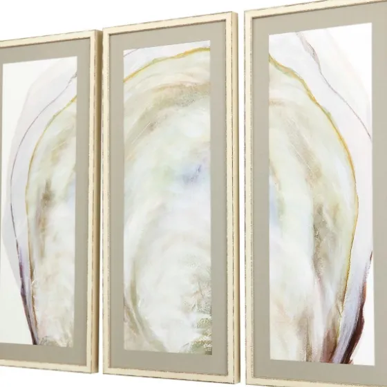 Oyster Shell 3-Pc. Framed Wall Art Set-Kirkland's Home Online