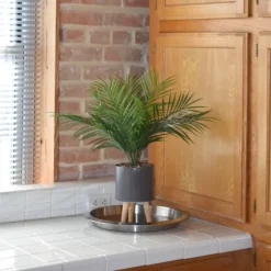 Palm Arrangement In Gray Footed Pot-Kirkland's Home Best Sale