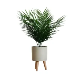 Palm Arrangement In Tan Footed Pot-Kirkland's Home Cheap