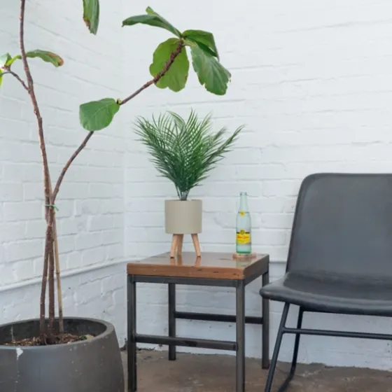 Palm Arrangement In Tan Footed Pot-Kirkland's Home Cheap