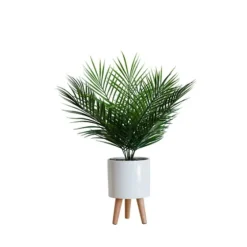 Palm Arrangement In White Footed Pot-Kirkland's Home Cheap