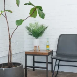 Palm Arrangement In White Footed Pot-Kirkland's Home Cheap