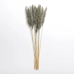 Pampas Bundle-Kirkland's Home Sale
