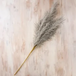 Pampas Grass Stem-Kirkland's Home Best