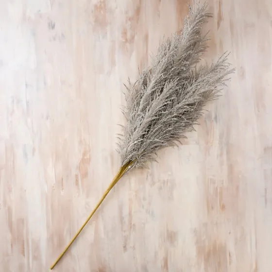 Pampas Grass Stem-Kirkland's Home Best