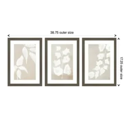 Paper Bark 3-Pc. Framed Wall Art Set-Kirkland's Home Store