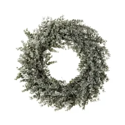Parvafolia Eucalyptus Spiral Wreath-Kirkland's Home Fashion