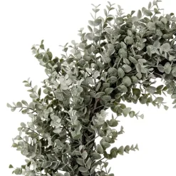 Parvafolia Eucalyptus Spiral Wreath-Kirkland's Home Fashion
