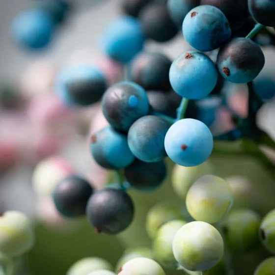 Pastel Berry Cluster Stems, Set Of 3-Kirkland's Home Sale