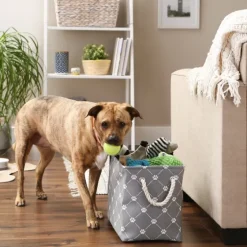 Paw Trellis Rectangle Basket, 16 In.-Kirkland's Home Fashion