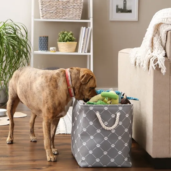 Paw Trellis Rectangle Basket, 17.5 In.-Kirkland's Home Best