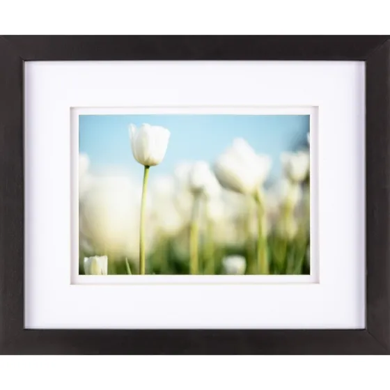 7-Pc. Matted Gallery Wall Picture Frame Set-Kirkland's Home Fashion