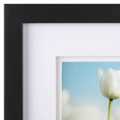 7-Pc. Matted Gallery Wall Picture Frame Set-Kirkland's Home Fashion