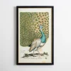 Peacock Framed Wall Art-Kirkland's Home Discount