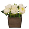 Peony Arrangement In Wood Box-Kirkland's Home Cheap