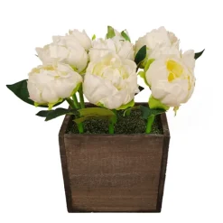 Peony Arrangement In Wood Box-Kirkland's Home Cheap