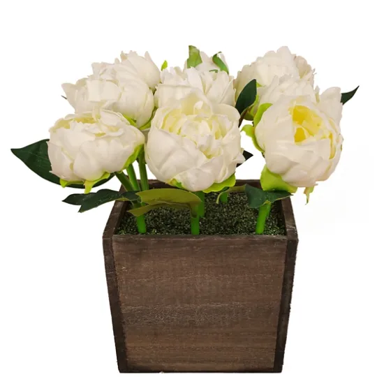 Peony Arrangement In Wood Box-Kirkland's Home Cheap