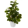 Peperomia Arrangement In White Planter-Kirkland's Home Hot