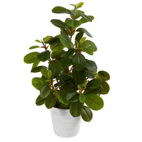 Peperomia Arrangement In White Planter-Kirkland's Home Hot