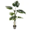 Philodendron Grand Split Potted Tree-Kirkland's Home Cheap