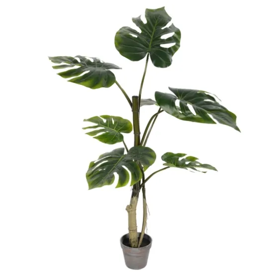 Philodendron Grand Split Potted Tree-Kirkland's Home Cheap