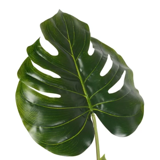 Philodendron Grand Split Potted Tree-Kirkland's Home Cheap