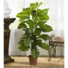 Philodendron In Terra Cotta Planter, 4 Ft.-Kirkland's Home Sale